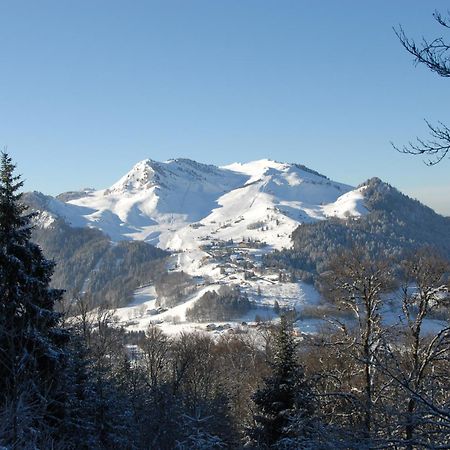 Hotel Les Skieurs ベルヴォー エクステリア 写真