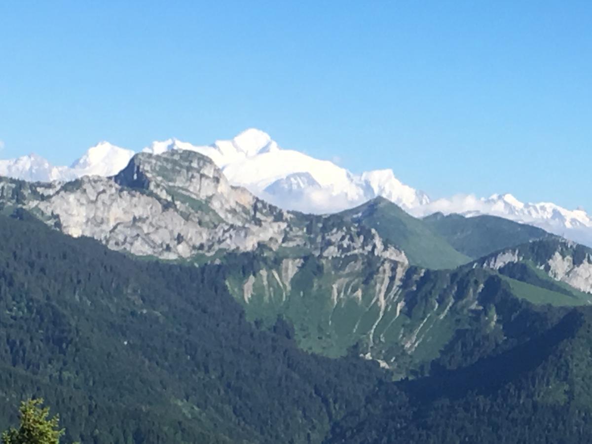 Hotel Les Skieurs ベルヴォー エクステリア 写真